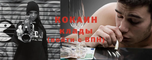 крисы Зеленодольск