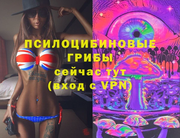 гидра Заволжск