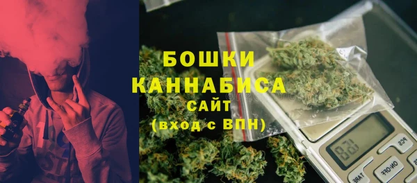 крисы Зеленодольск